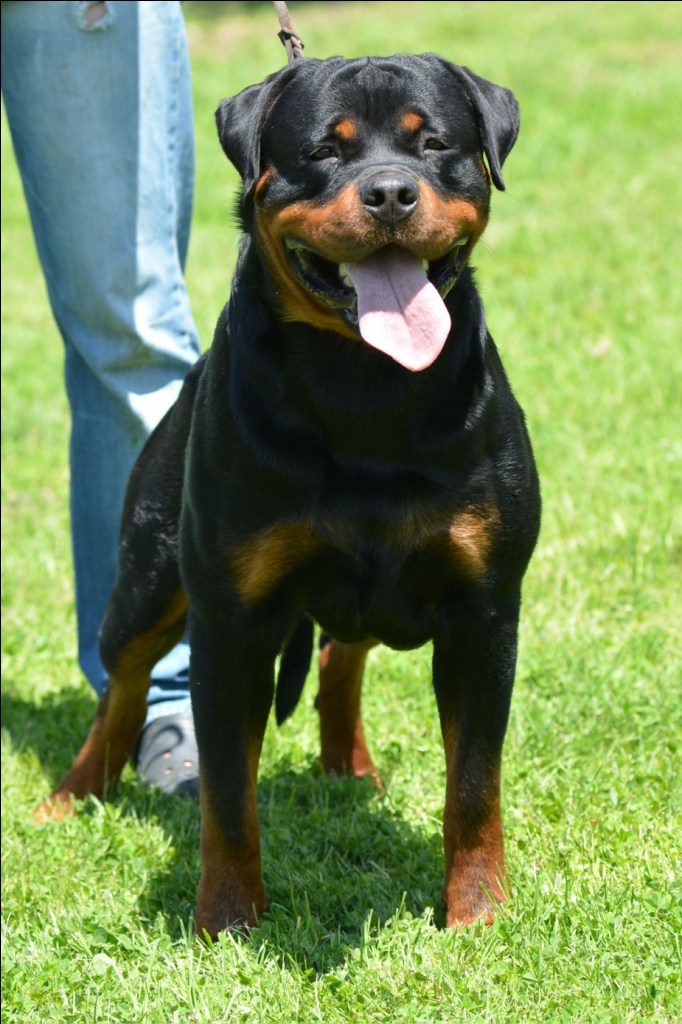 Eduard von der Alten Festung Eduard von der Alten Festung